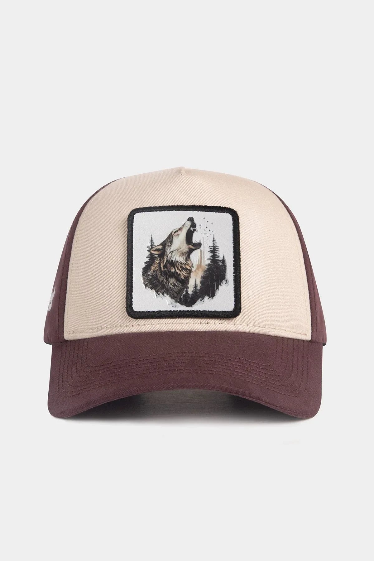 Brown-Cream Cap
