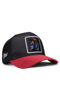 Lion - Logo-trucker