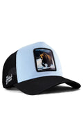 B. Bear - Logo-trucker