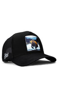 Bear - Logo-trucker