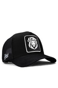 Lion - Logo-trucker