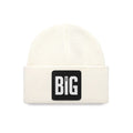 Big Think - with 3 Code Logo-beanie
