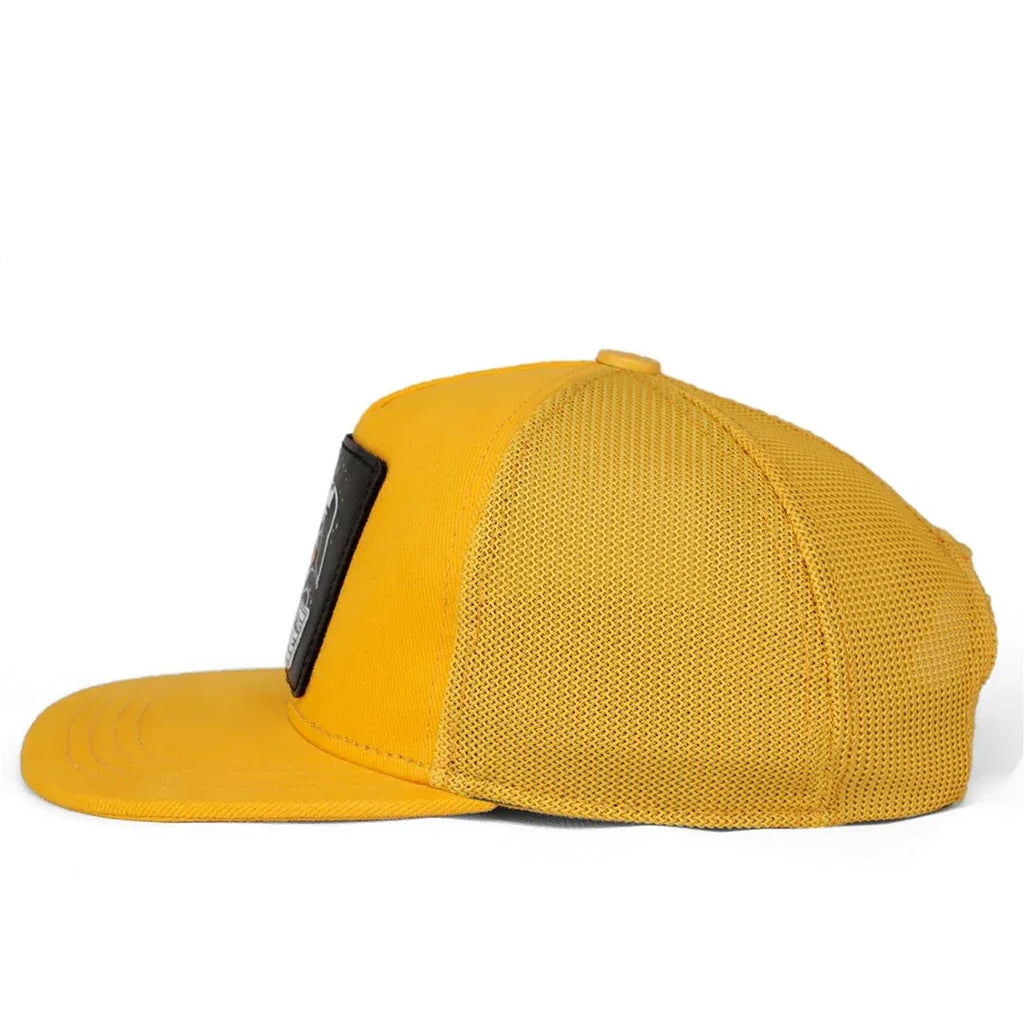 image_1950_1670ca4e-73e7-4858-98cc-8a311879e7e9 - BlackBork