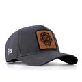 Lion - With 13 Code Logo-baseball
