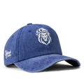 Lion-vintage