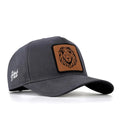 Lion - 12sh with Code Logo-baseball