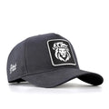 Lion - with 9SB Code Logo-baseball