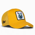 Rhinoceros - 1 with Code Logo-kids
