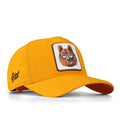 Bear - with 3BK Code Logo-baseball