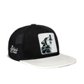 Wolf - with 2 Code Logo-kids