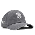 Lion-vintage